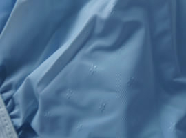BlueStarTexture